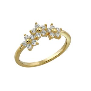 Sortija, Plata de Ley