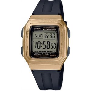 Reloj, Casio