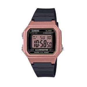 Reloj, Casio